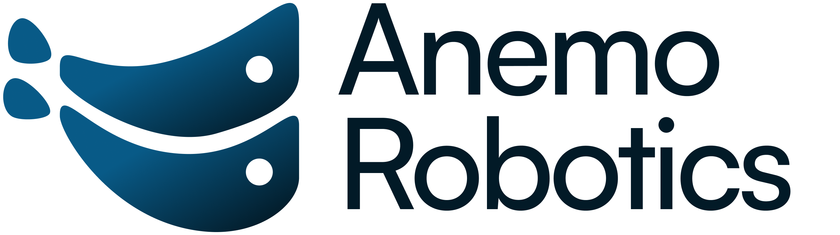 Anemo Robotics